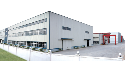 Company profile